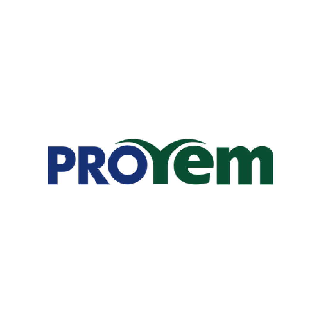 Proyem